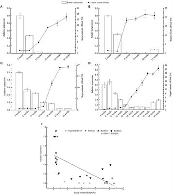 Overexpression of a Grapevine Sucrose Transporter (VvSUC27) in Tobacco Improves Plant Growth Rate in the Presence of Sucrose In vitro